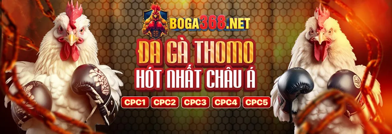 Liên hệ TV88 qua mạng xã hội